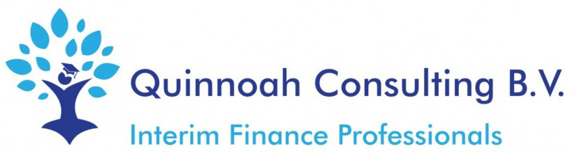 Logo Quinnoah Consulting